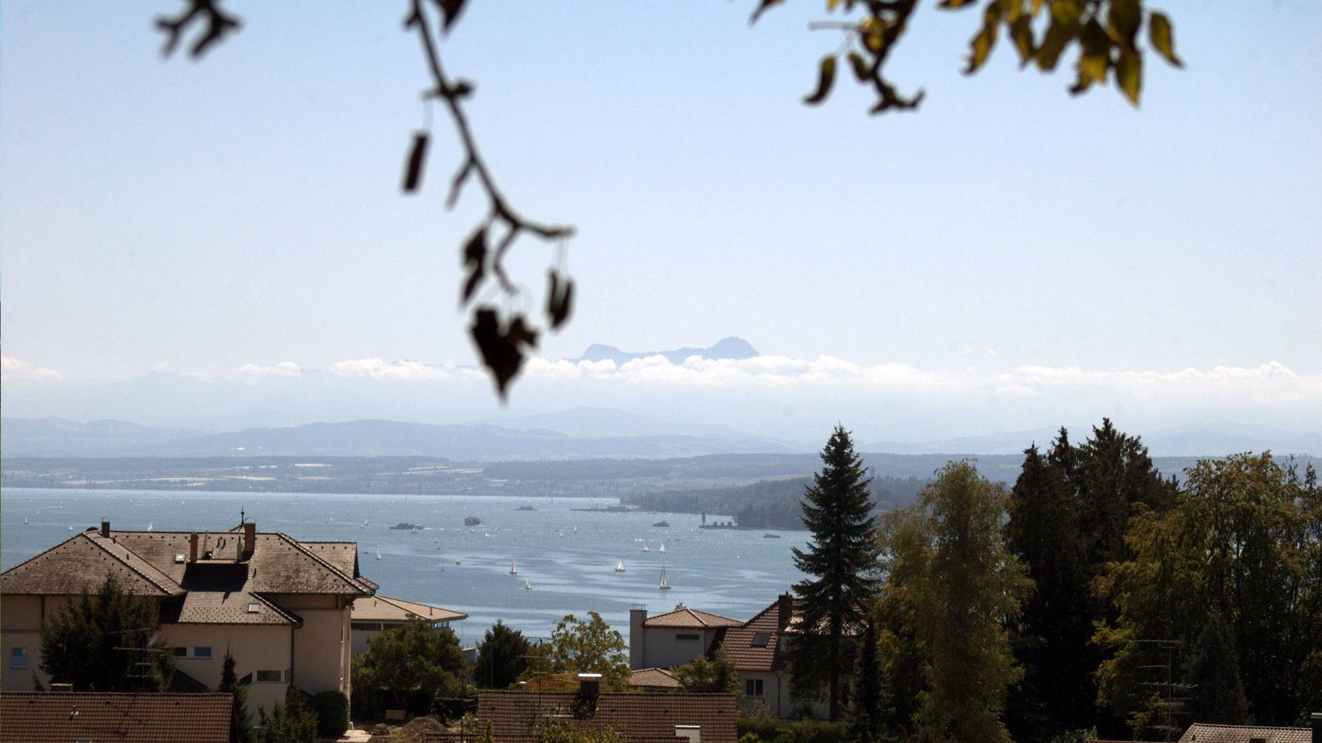 Seeblick und Schweizer Alpen